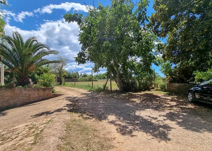 Apartment Davor Novigrad Istria