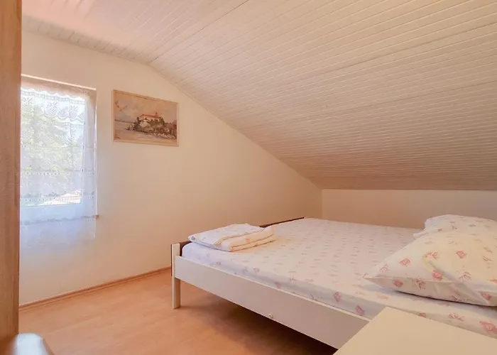 Davor Novigrad Istria