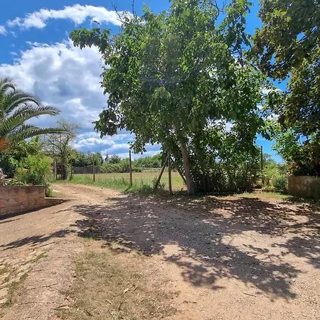 Apartman Davor Novigrad Istria