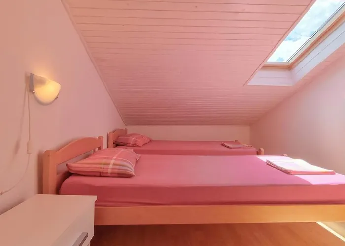 Davor Novigrad (Istria)